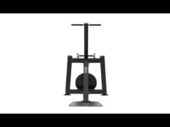 Extension Triceps Debout et Dips Elite Series