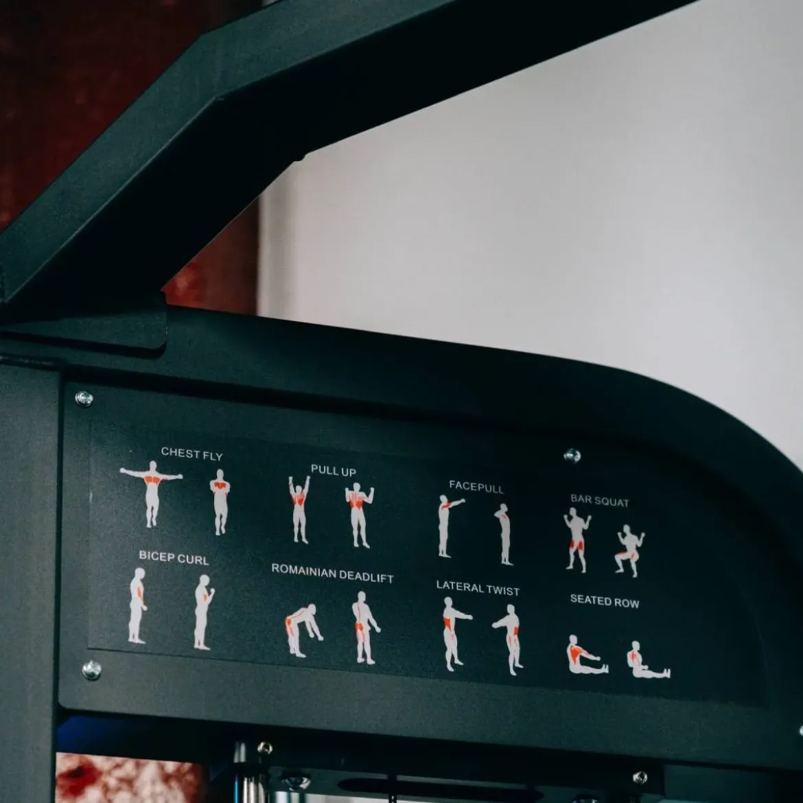 Functional Trainer Double Poulie Réglable