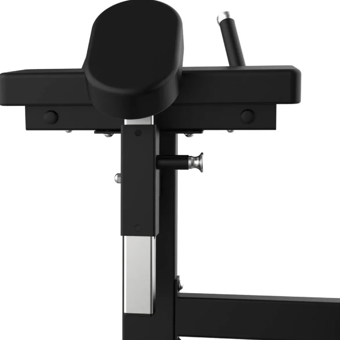 GLUTE ELITE SERIES