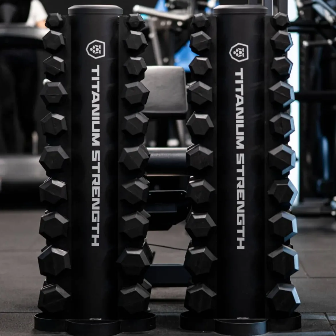 Haltères Hexagonaux de 1 à 10 KG + Rack Vertical TH10
