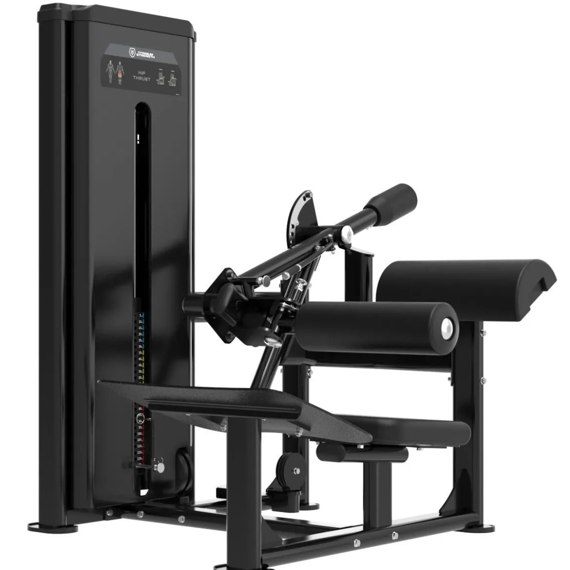 Hip Thrust