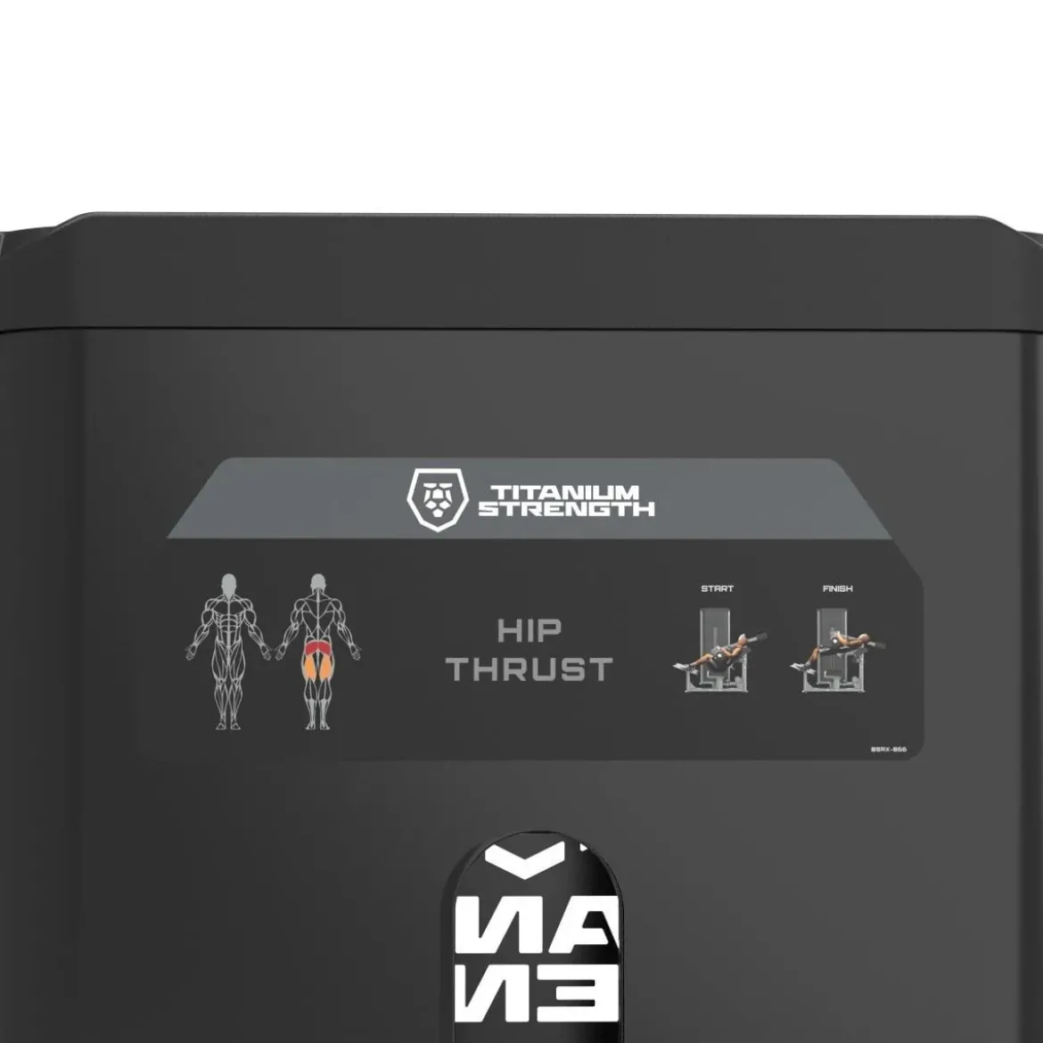 Hip Thrust