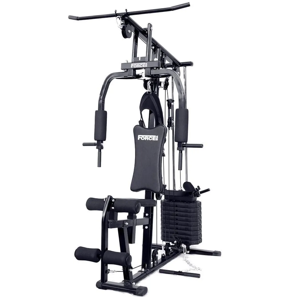 Home Gym HG100