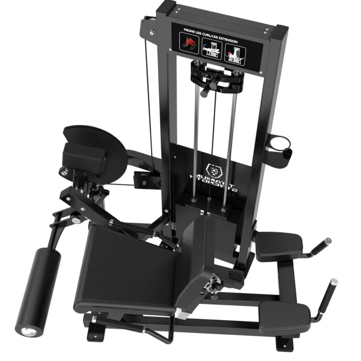 Leg Extension & Leg Curl Couché - RX Series