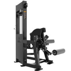 Leg Extension & Leg Curl Couché - RX Series