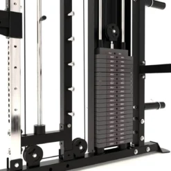 Plaques Supplémentaires pour G4, C20 & FTR (2 x 22.5 kg)