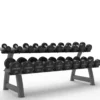 Set de Mancuernas Redondas Pro PU 2,5–25 kg + Rack