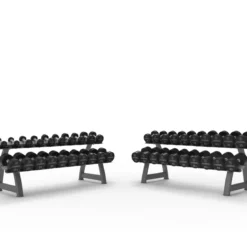Set d’Haltères Ronds Pro PU 2,5–50 kg + 2 Racks
