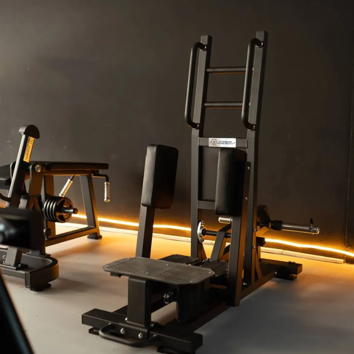 Ultimate Abductor Debout avec Charge de Disque Elite Series